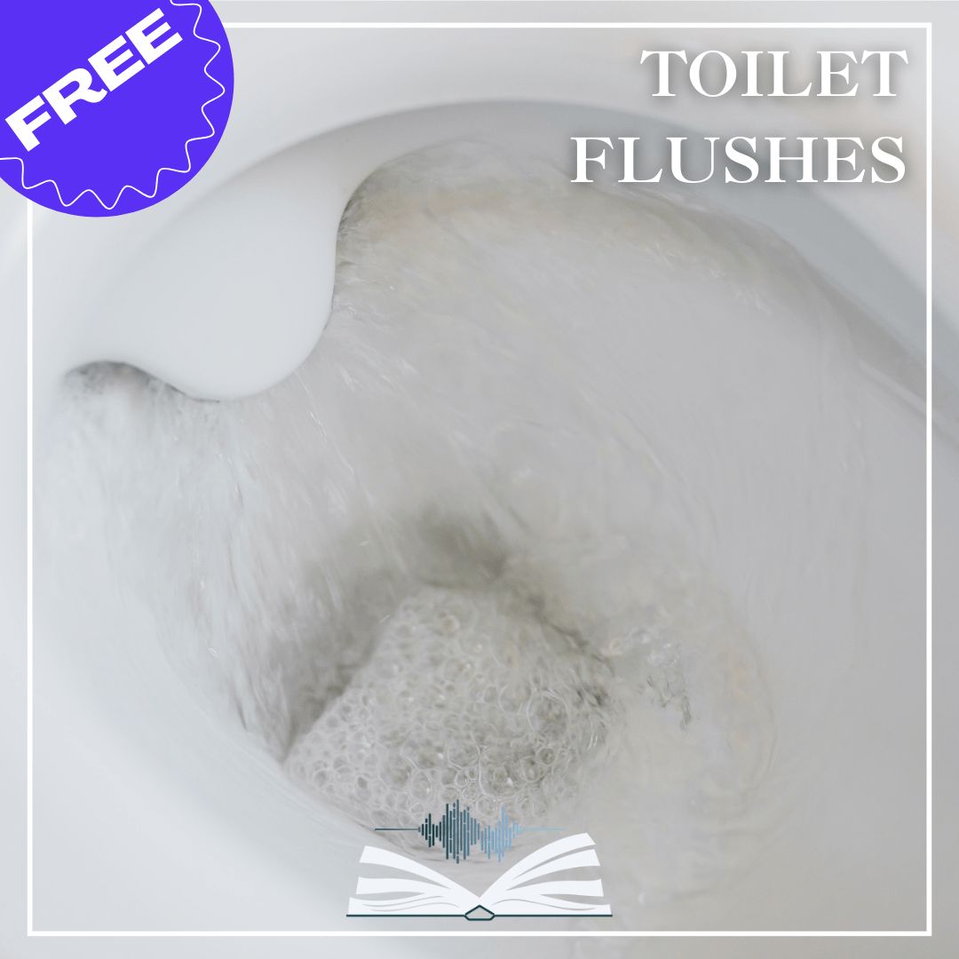 Toilet Flushes