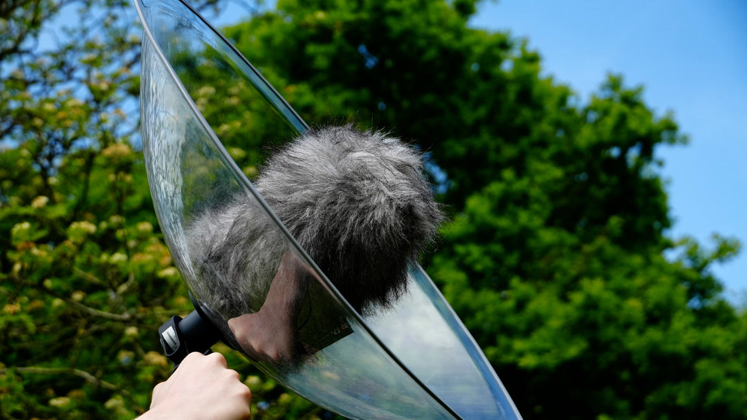 Telinga Parabolic dish